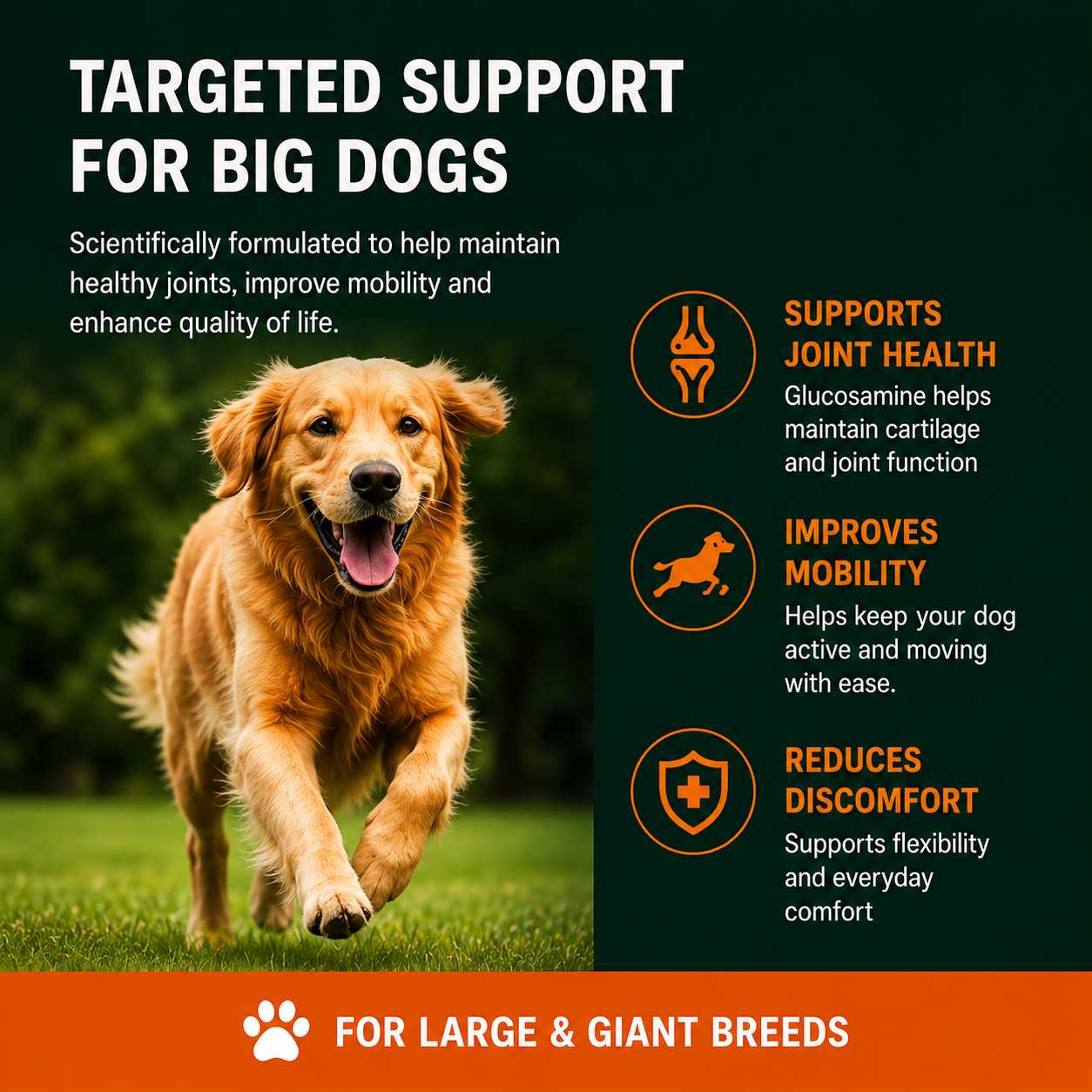 The Big Paw | Hip & Joint Chews