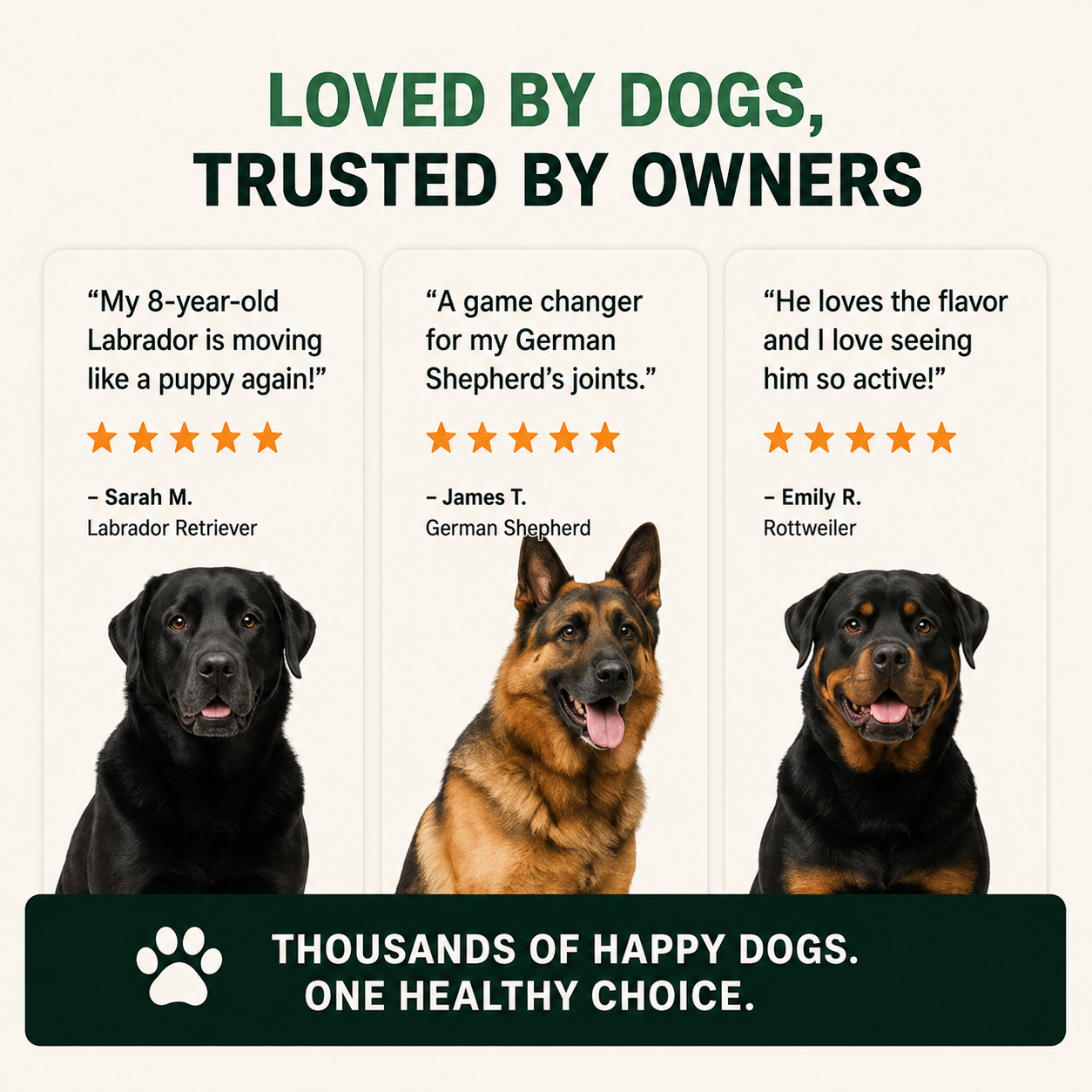 The Big Paw | Hip & Joint Chews