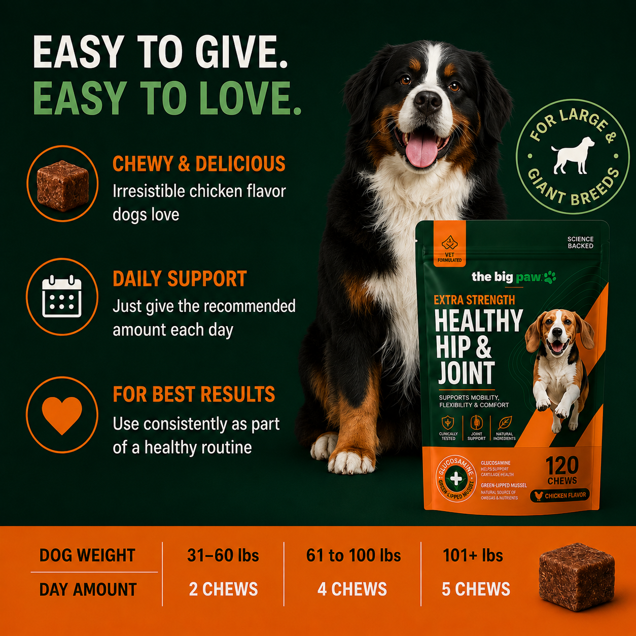 The Big Paw | Hip & Joint Chews