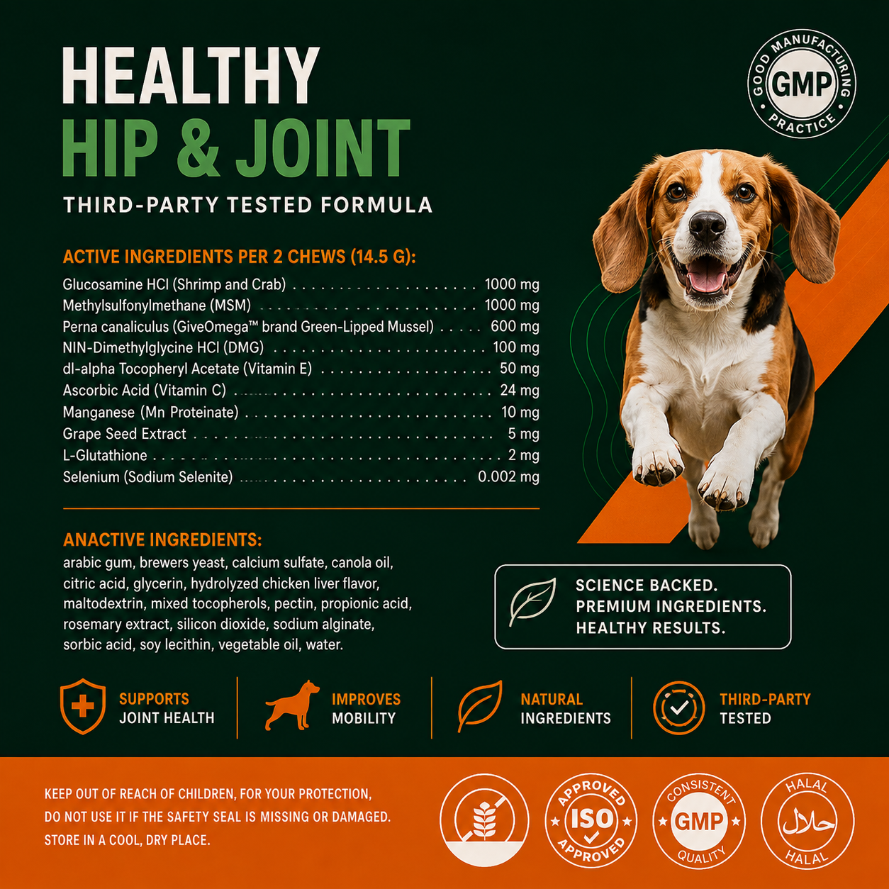 The Big Paw | Hip & Joint Chews